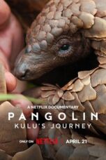 Nonton Film Pangolin: Kulu’s Journey (2025) Subtitle Indonesia