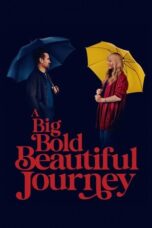 Nonton Film A Big Bold Beautiful Journey (2025) Subtitle Indonesia